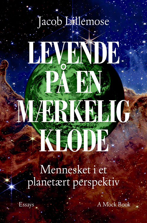 lillemose2